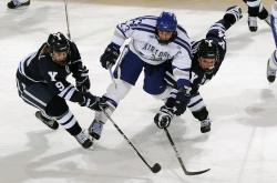 关于CBA常规赛最新形势：巴黎圣日耳曼高居榜首，切尔西强势追赶，冠军归属成迷的信息