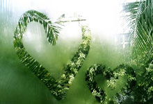 明晨全锦赛焦点战！上海申花迎战休斯顿火箭，小胜或上演的简单介绍